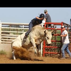 Meet your Posher, Boddie